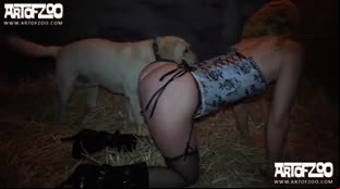 Golden Smart Dog Fucking Girl Who His Owner Dog Porn 28
